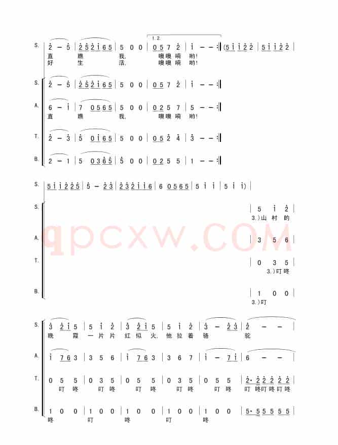 拉骆驼的黑小伙（敏岐词 张颂曲）