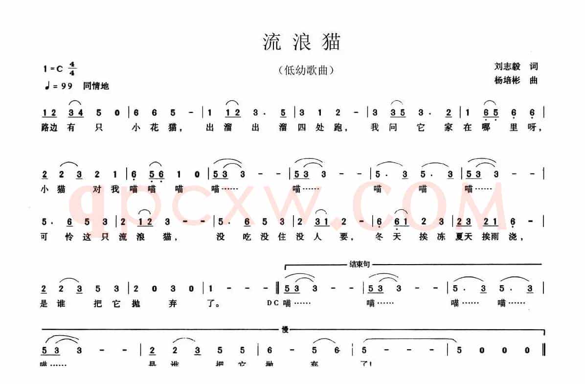 流浪猫（刘志毅词 杨培彬曲）