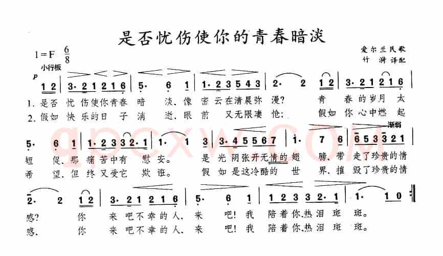 是否忧伤使你的青春暗淡（爱尔兰）