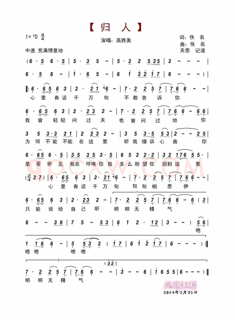 归人(高胜美)