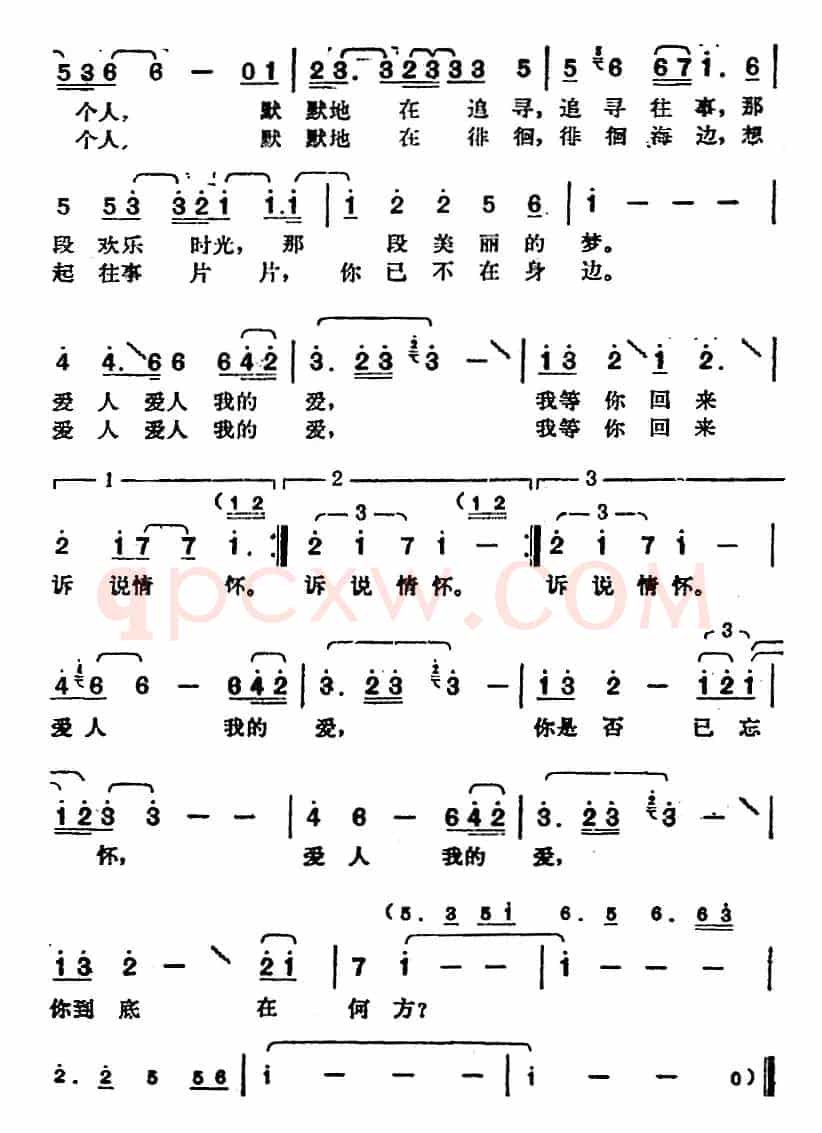 邓丽君演唱金曲：襟裳岬