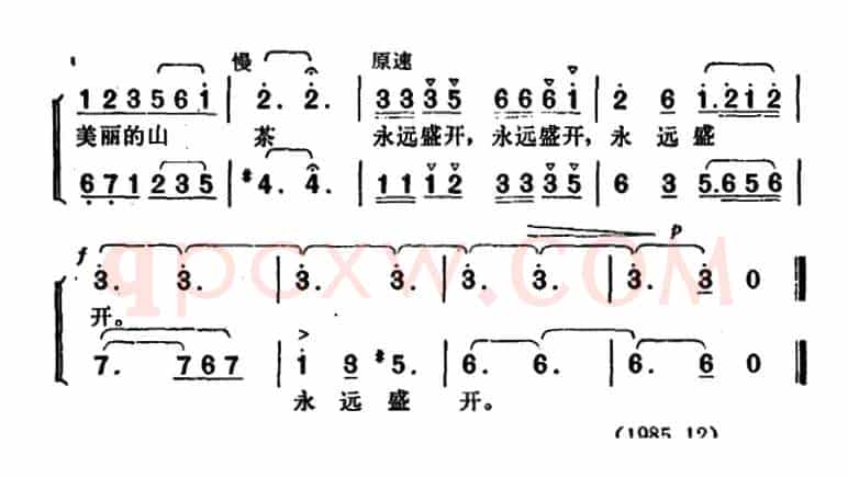 山茶花为英雄开