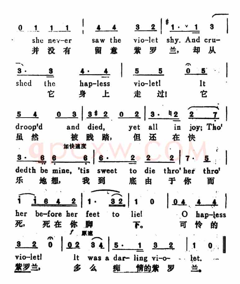 [奥]紫罗兰（The Violet）（汉英文对照）