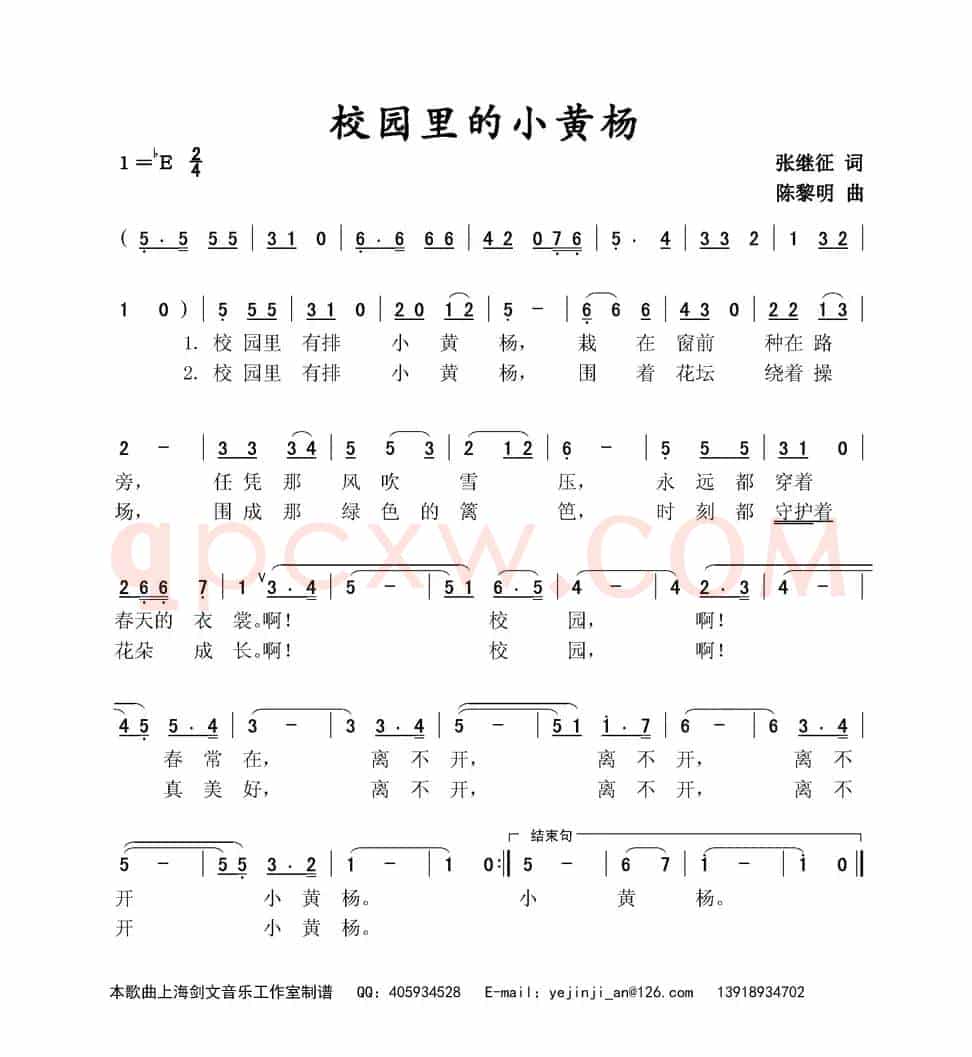 校园里的小黄杨