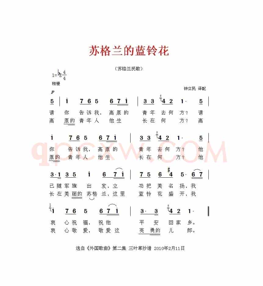 苏格兰的蓝铃花（苏格兰）
