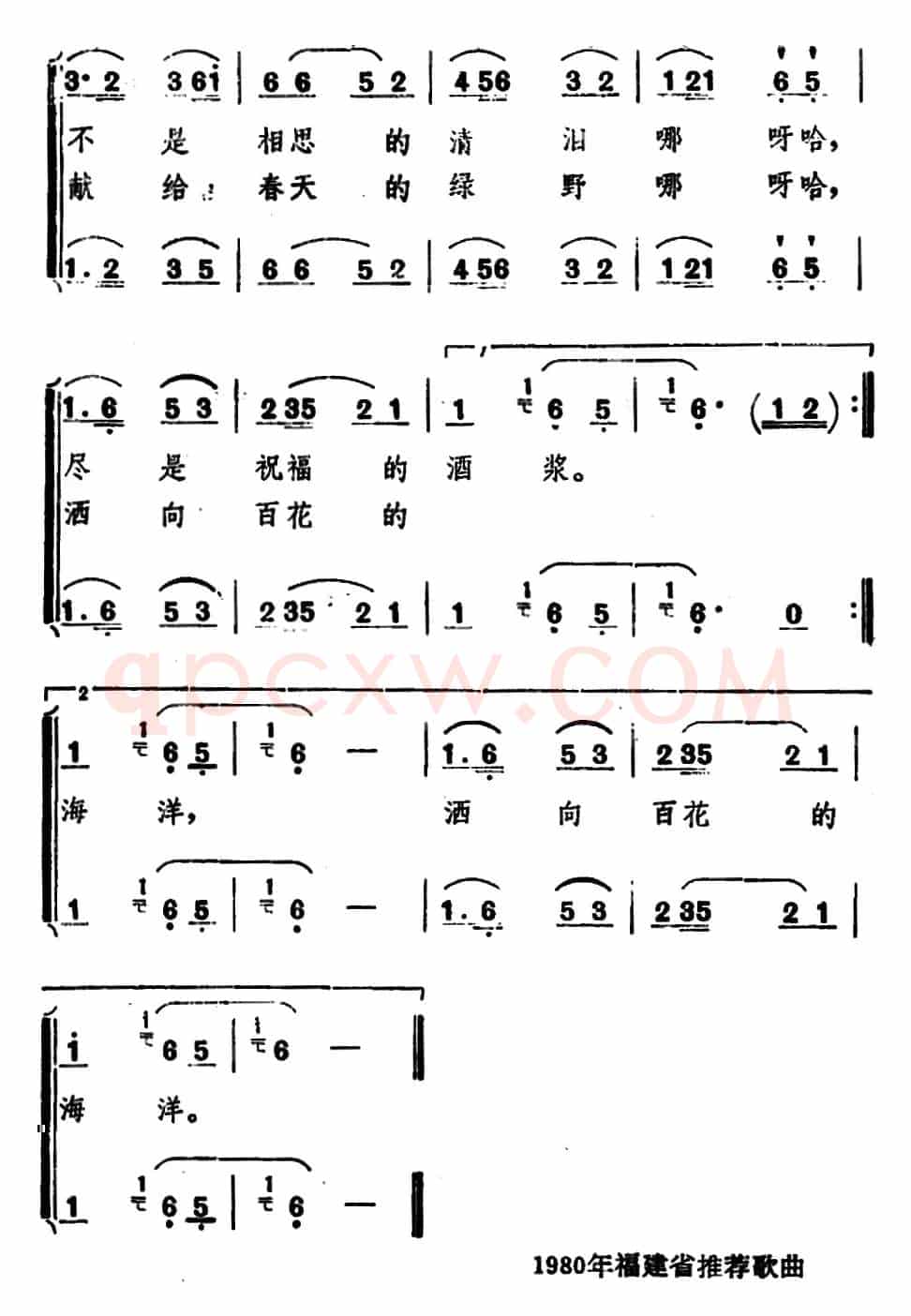 金盏花