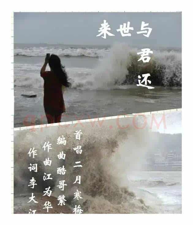 来世与君还