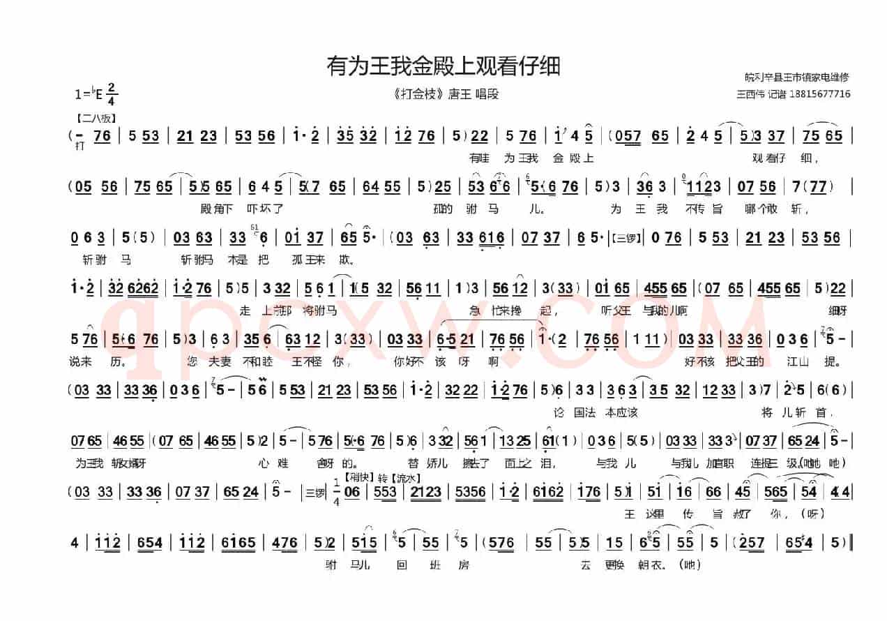 有为王我金殿上观看仔细（《打金枝》唐王唱段）