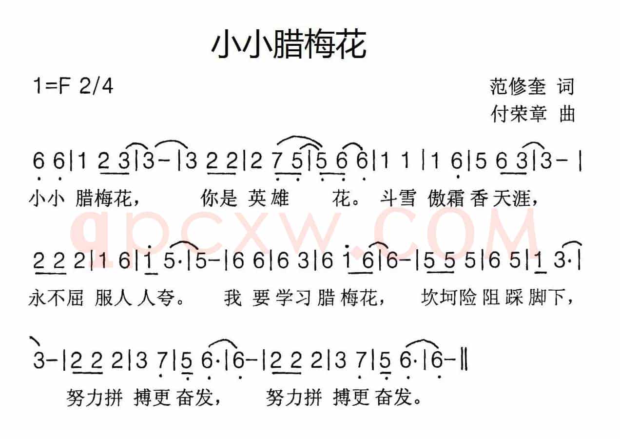 小小腊梅花