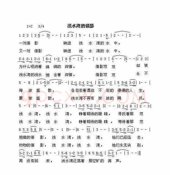 浅水湾的倩影