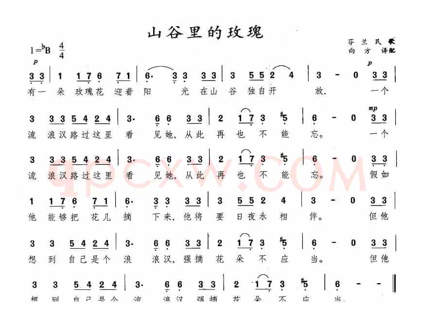 [芬兰]山谷里的玫瑰