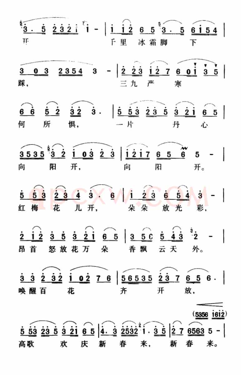 军歌金曲：红梅赞