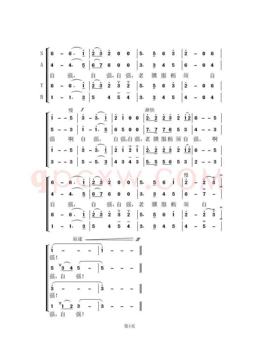 清华学子 出彩浦江