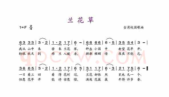 兰花草