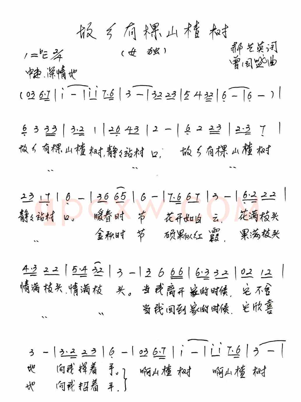 故乡有棵山楂树