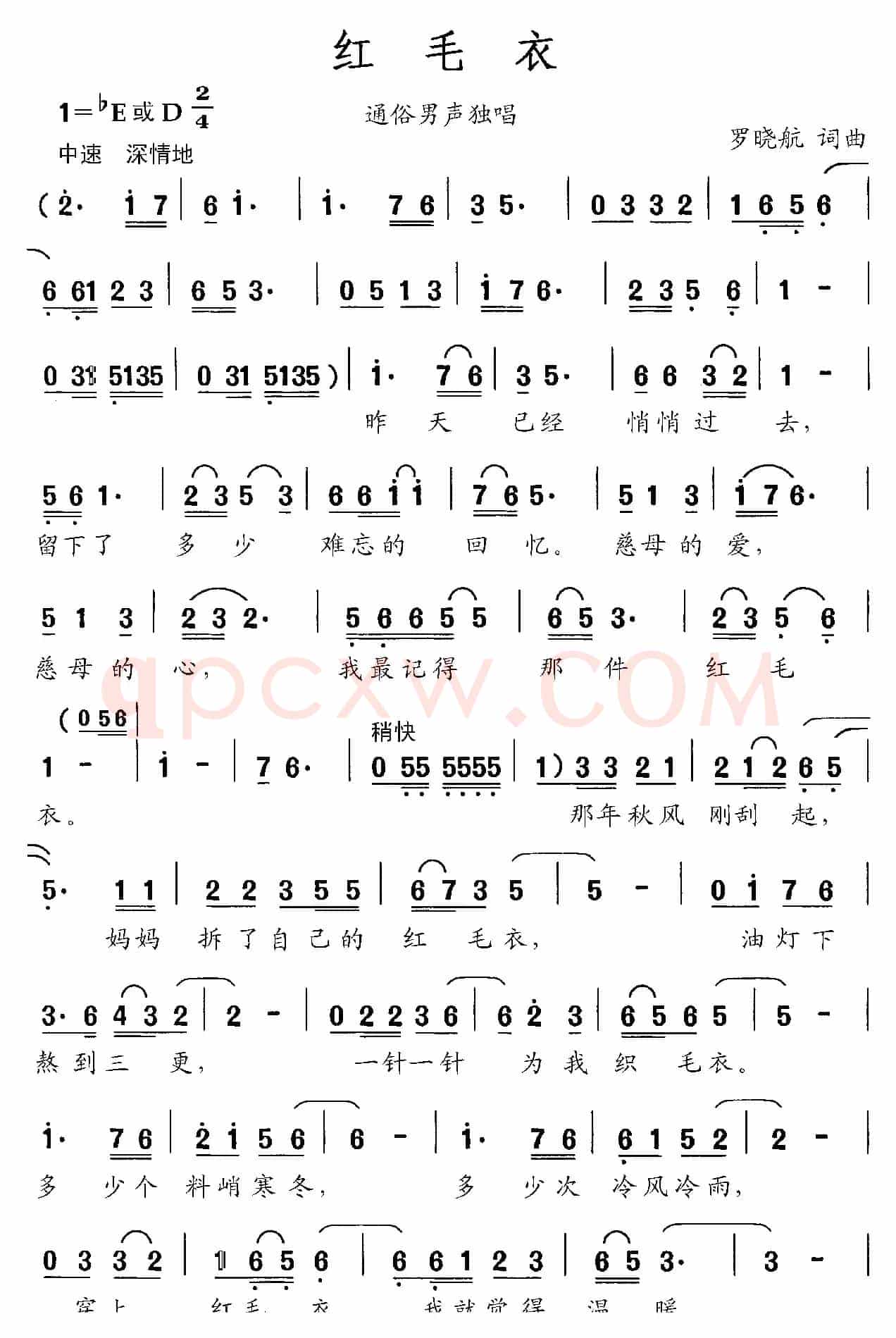 红毛衣