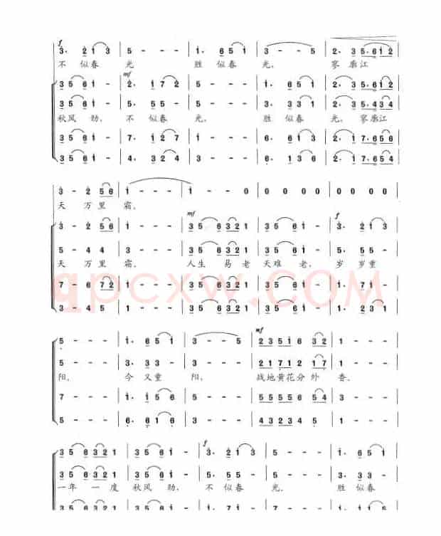 采桑子·重阳