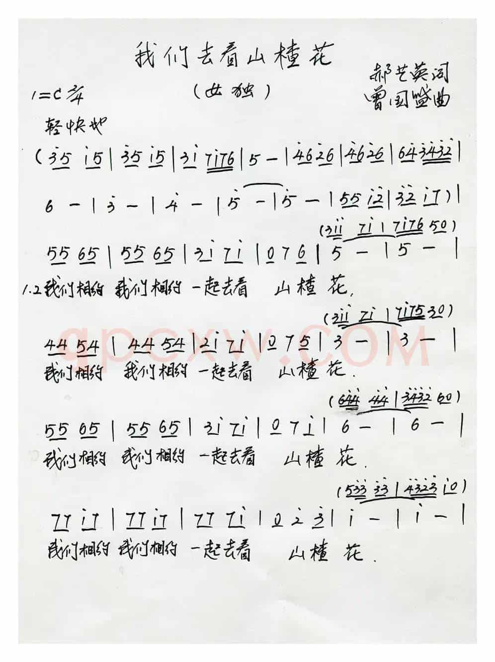 我们去看山楂花