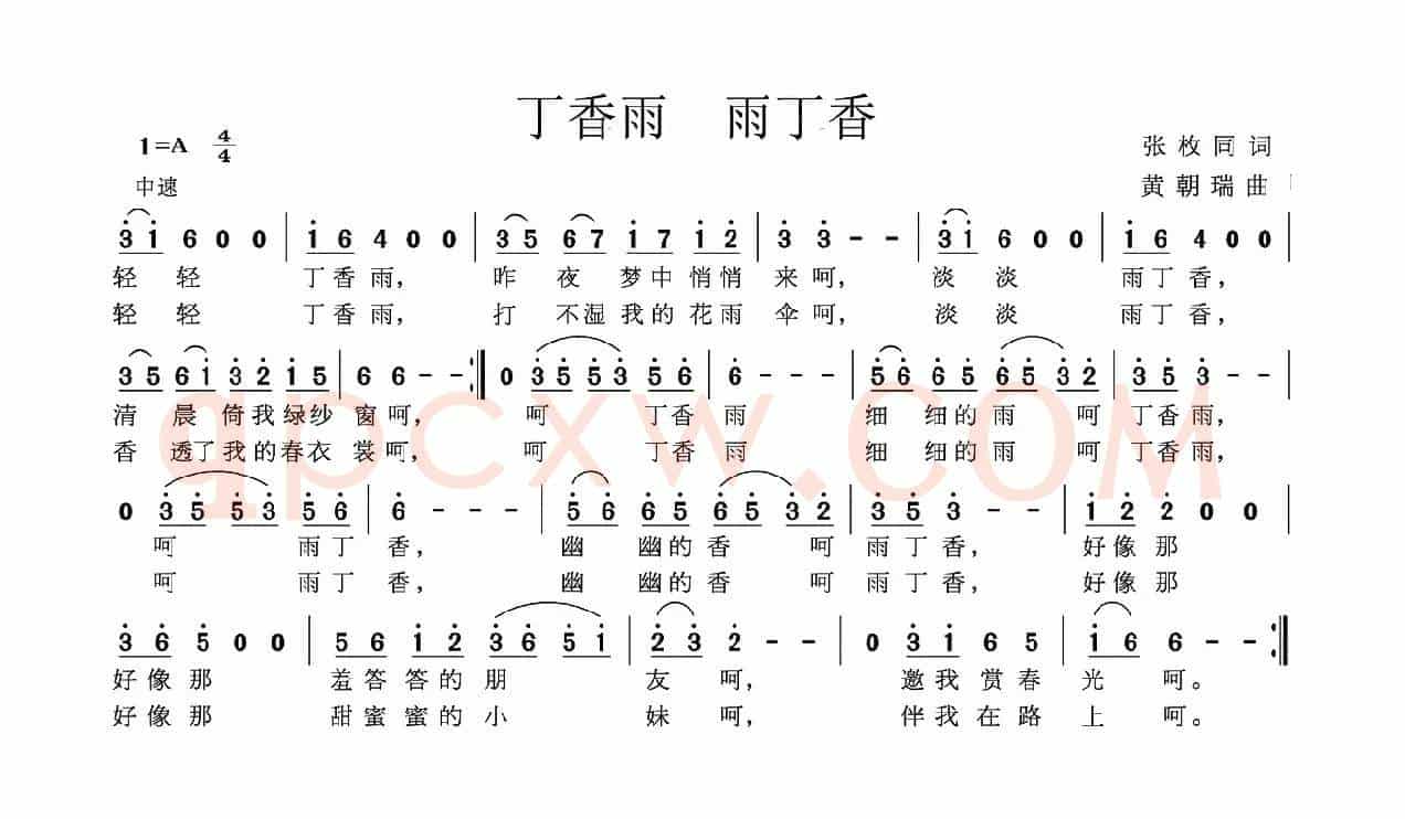 丁香雨 雨丁香