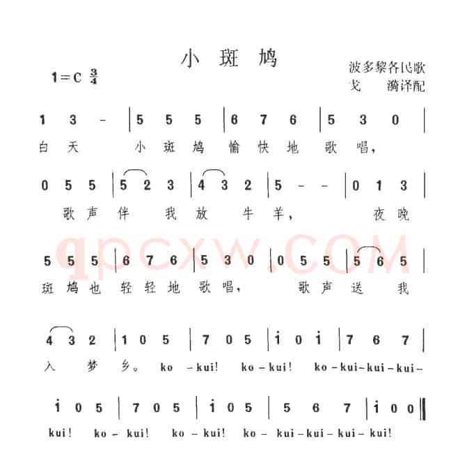 小斑鸠（波多黎各）