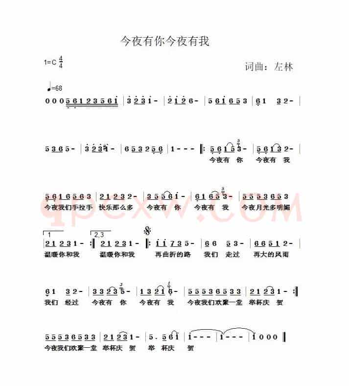 今夜有你今夜有我（左林音乐作品）