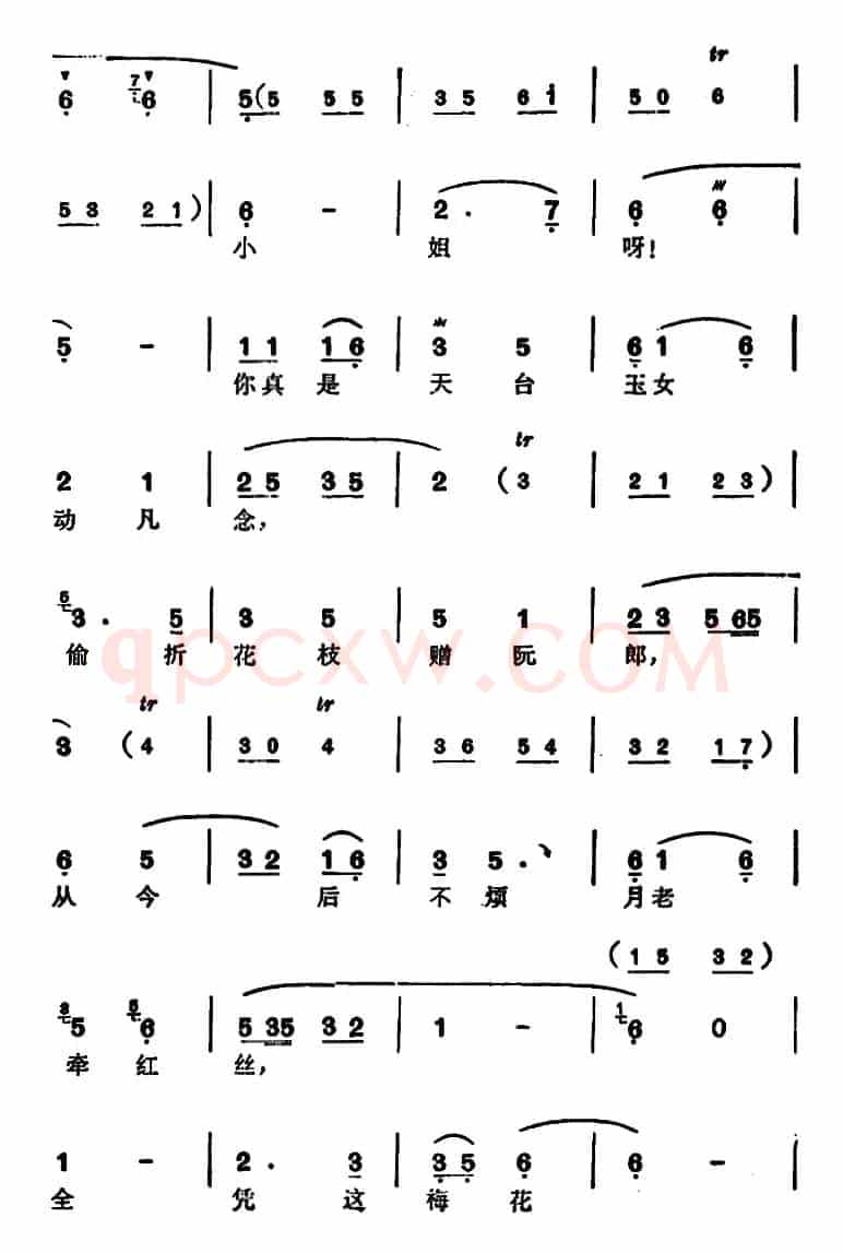 徐玉兰唱腔集：全凭这梅花作主张（选自《西园记》张继华唱段）