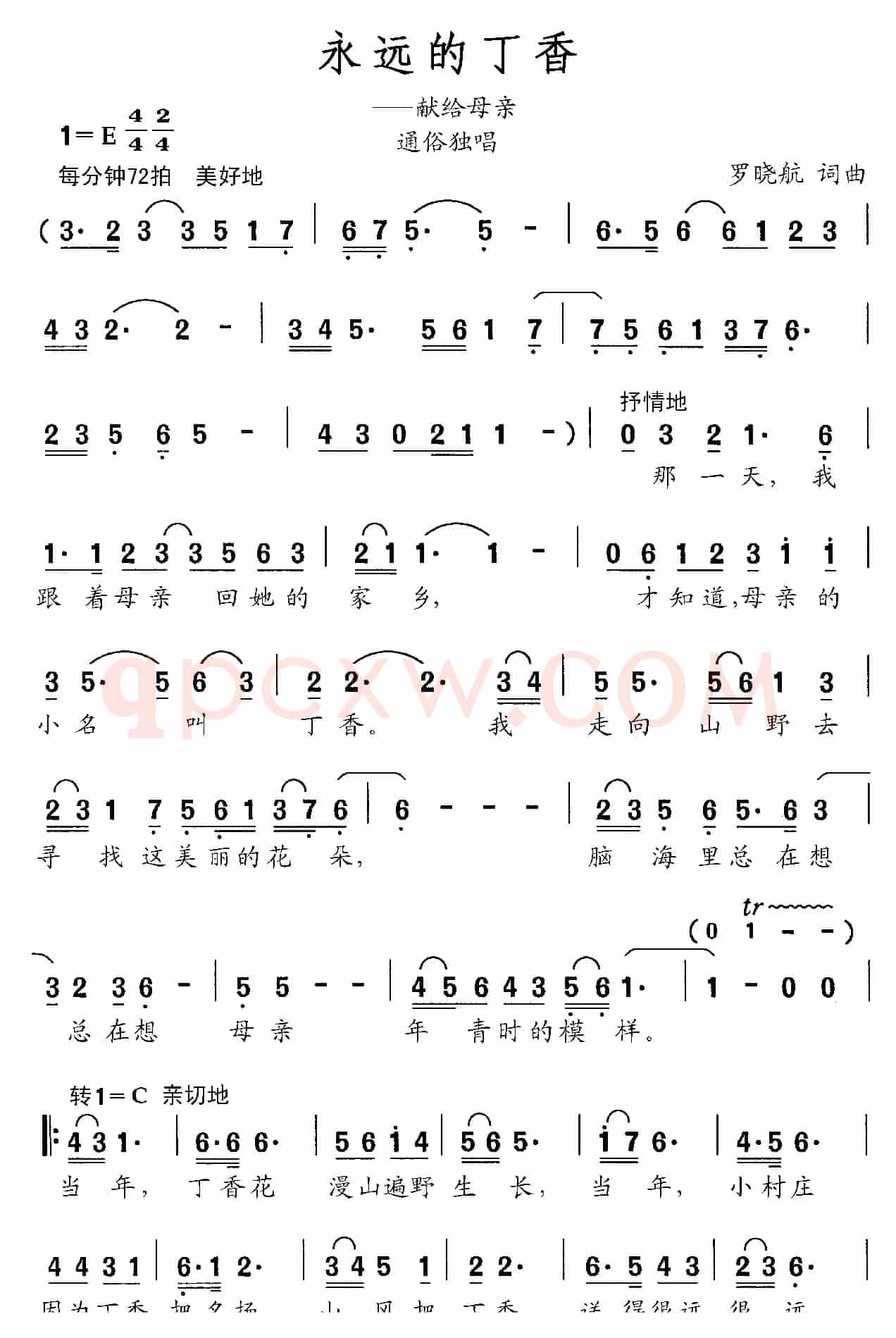 永远的丁香