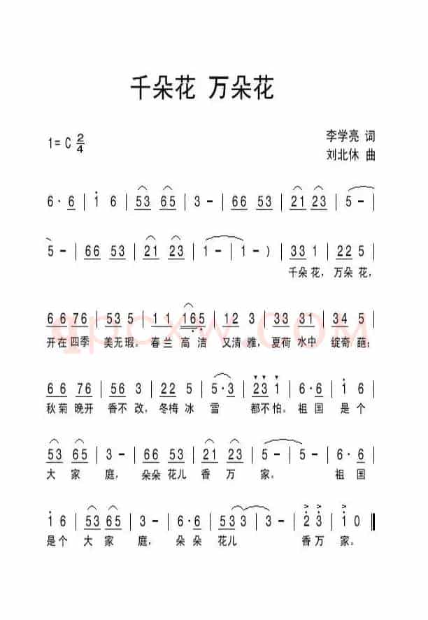 千朵花万朵花