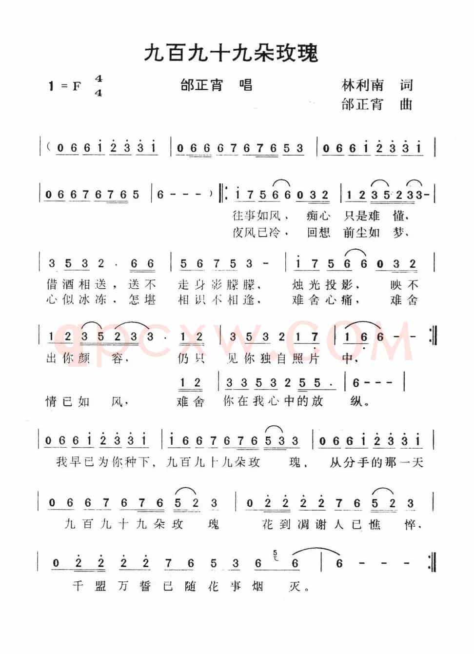 九百九十九朵玫瑰