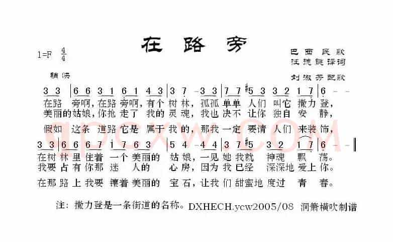 [巴西]在路旁