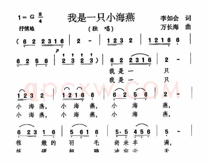 我是一只小海燕