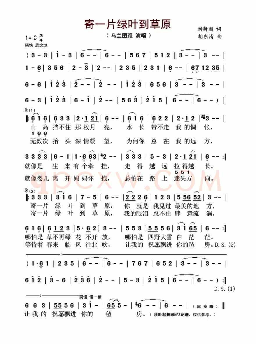 寄一片绿叶到草原