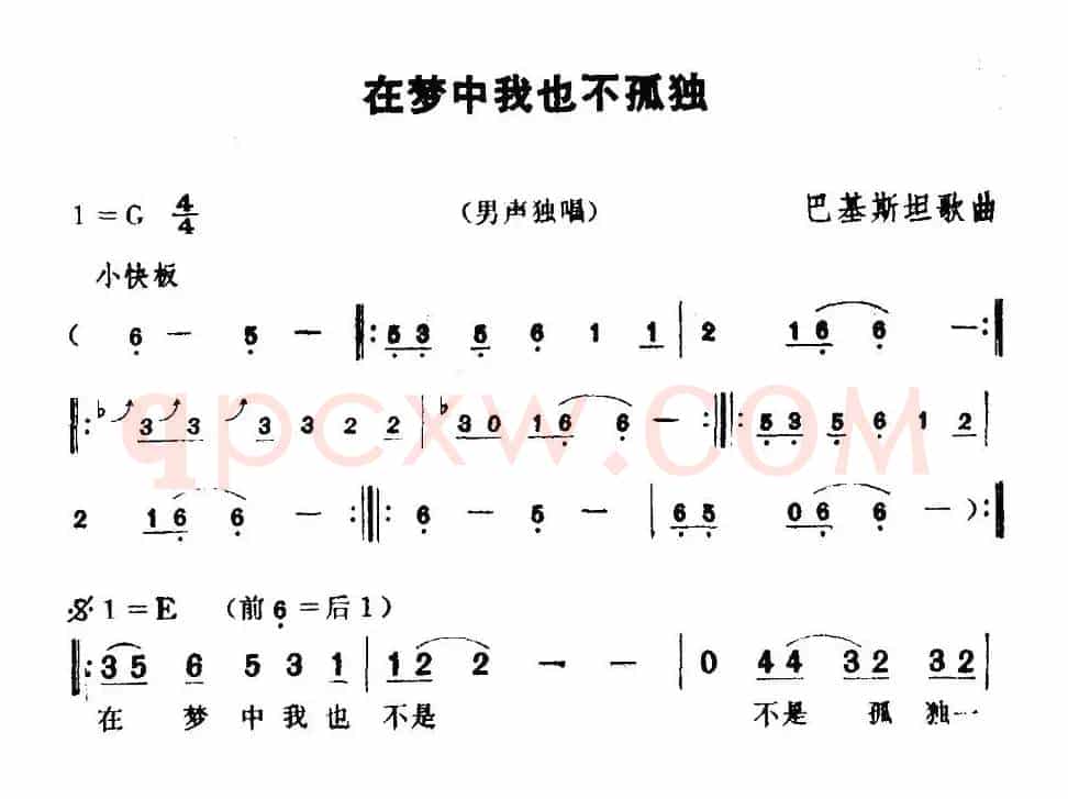 [巴基斯坦]在梦中我也不孤独