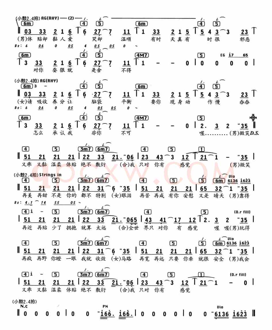 只对你有感觉（电视剧《东方朱丽叶》插曲、编配乐谱）