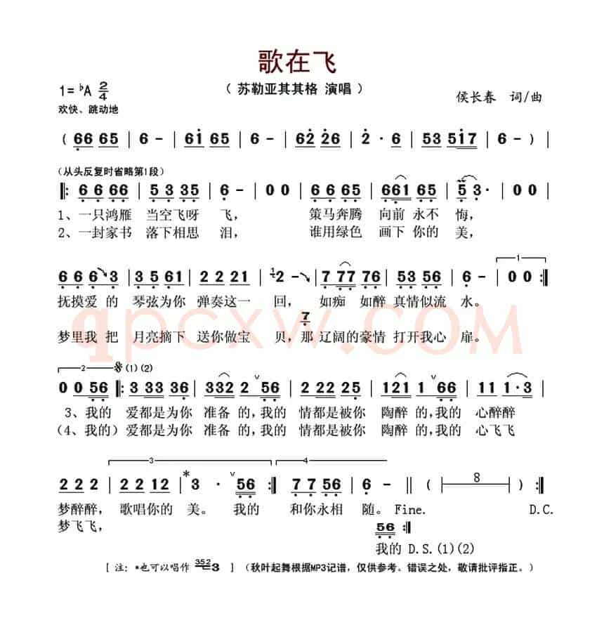 歌在飞