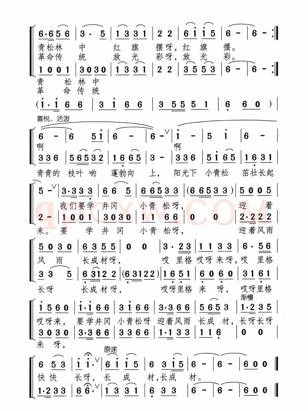 井冈小青松（合唱）