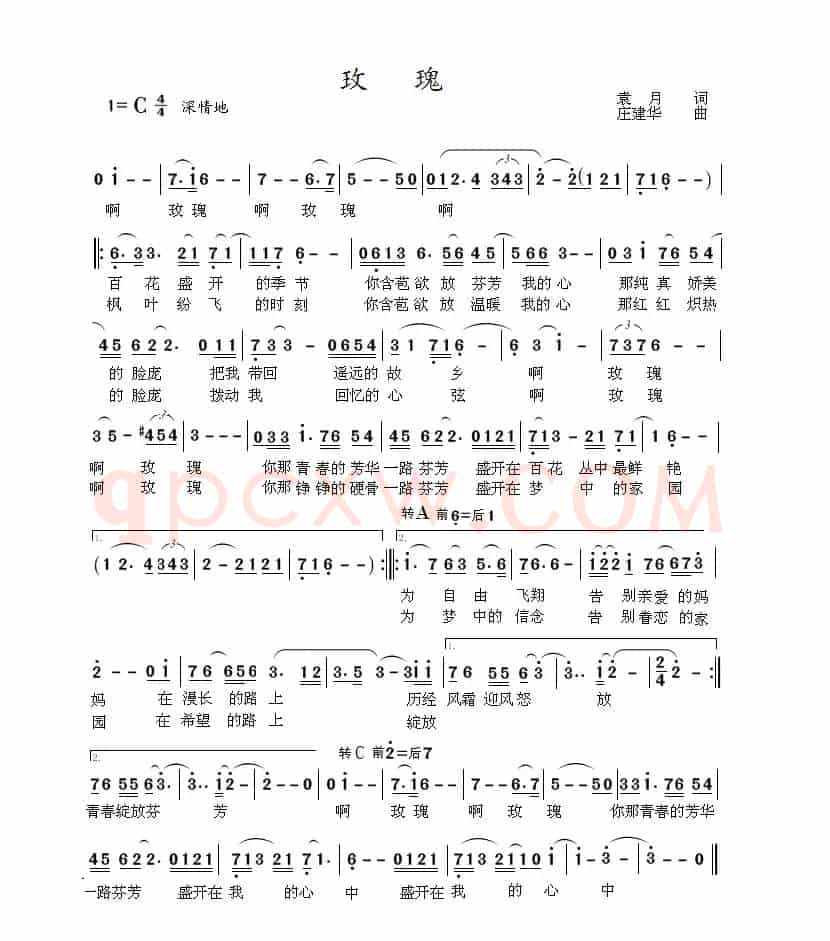 玫瑰（庄建华 作曲）