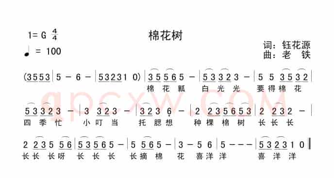 棉花树