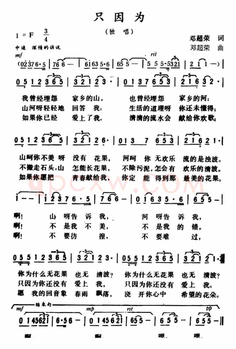 只因为 
