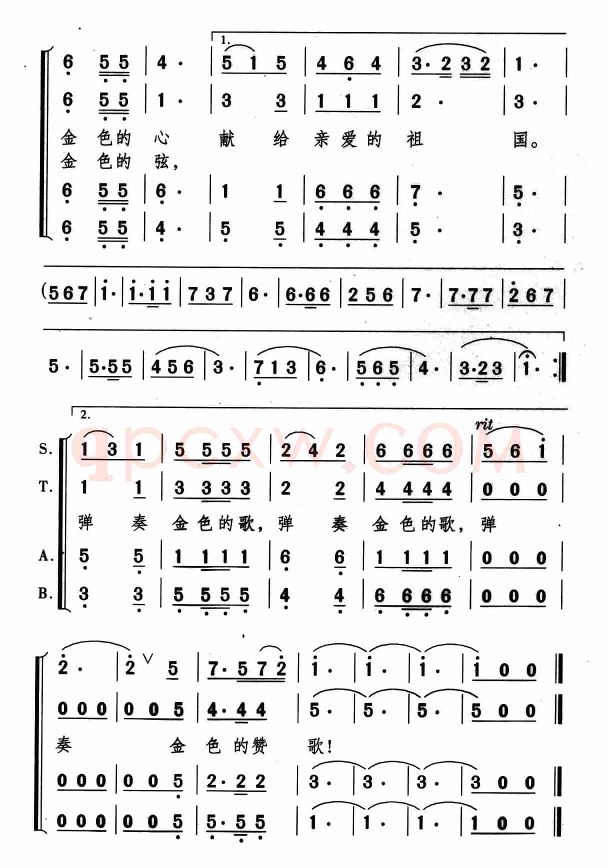 孔雀要腾飞