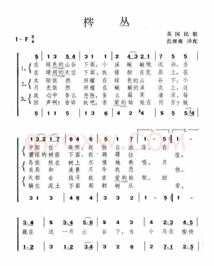 棽丛（英）