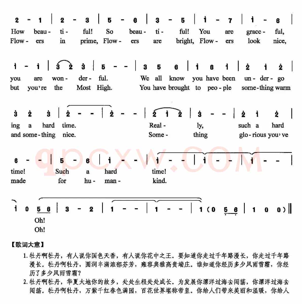 牡丹颂歌