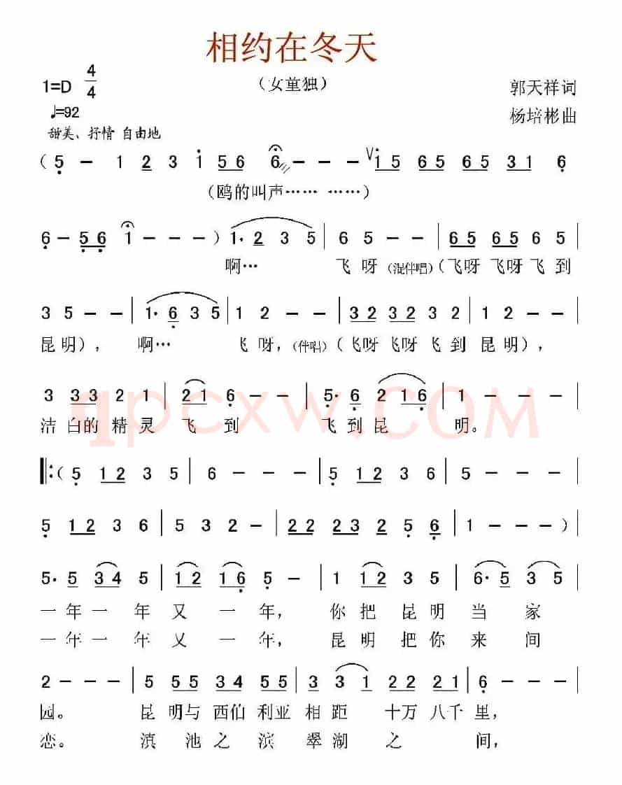 相约在冬天