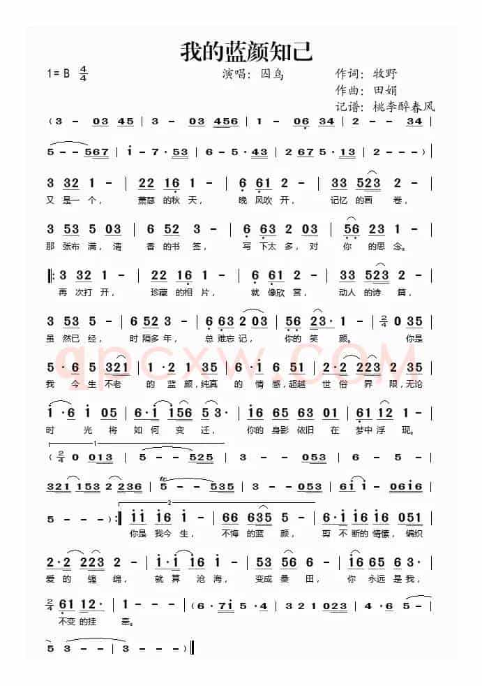我的蓝颜知己