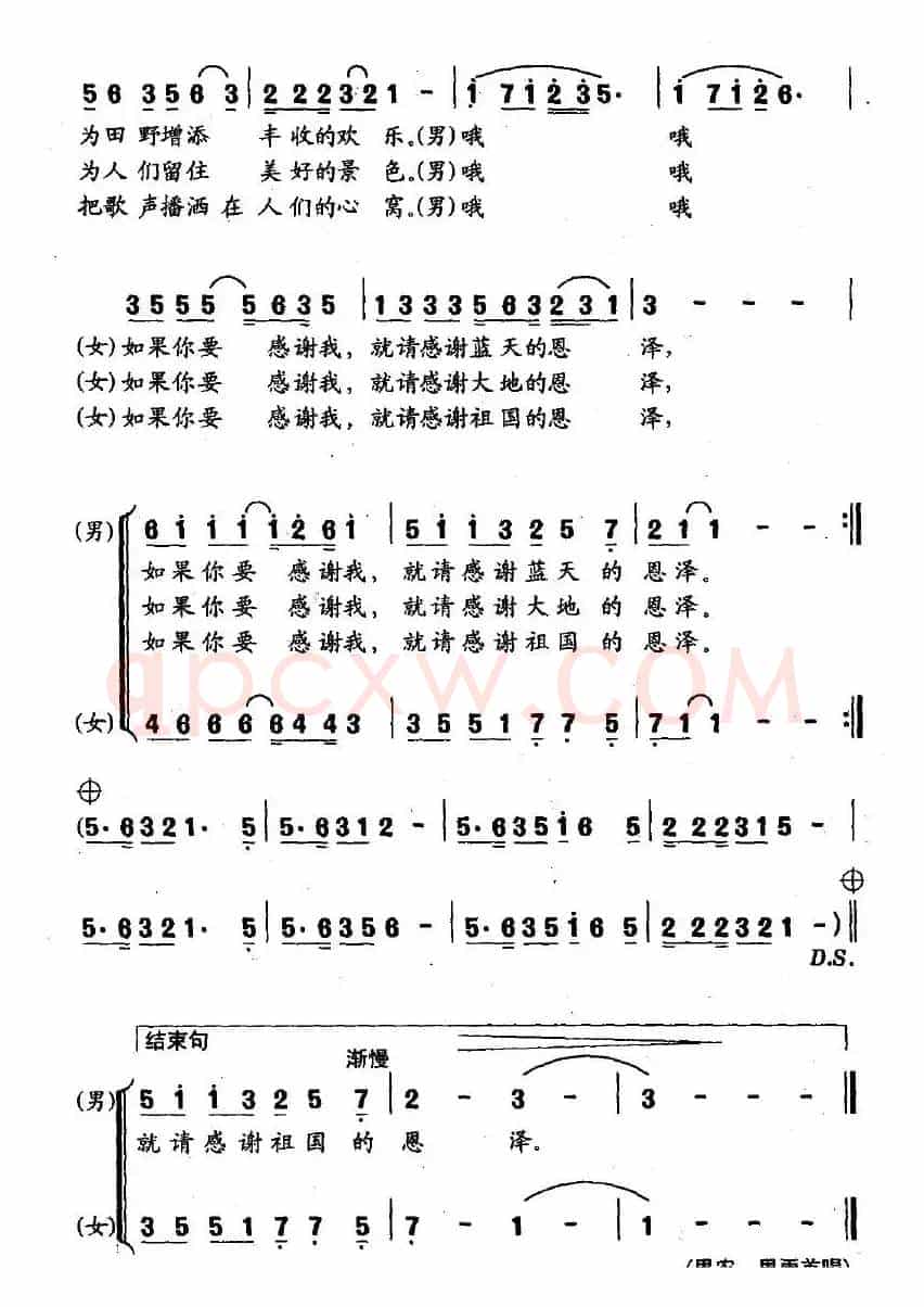 如果你要感谢我