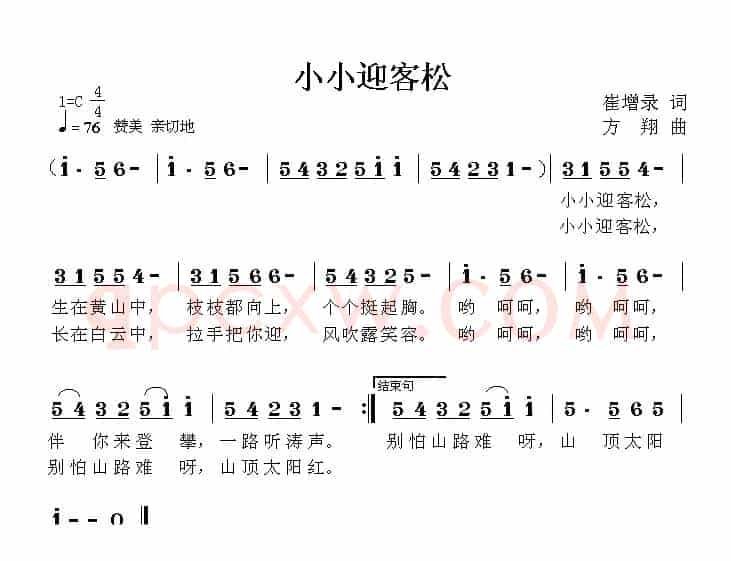 小小迎客松