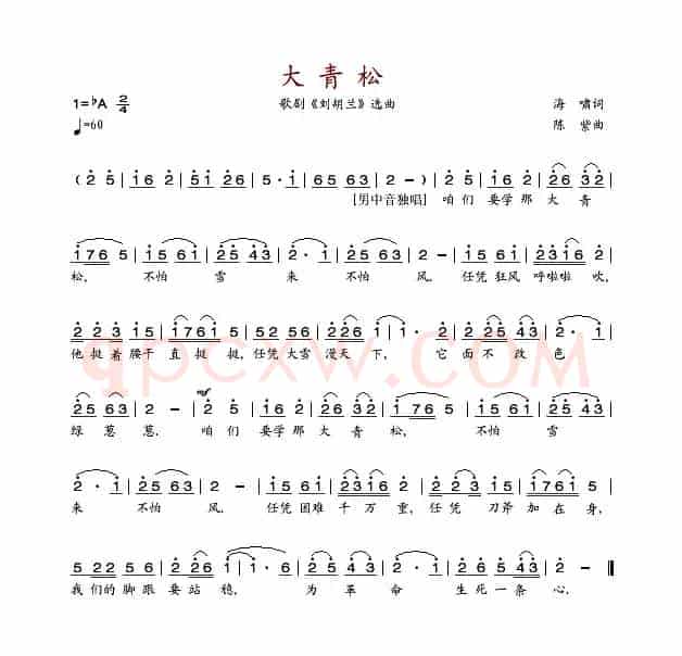 大青松