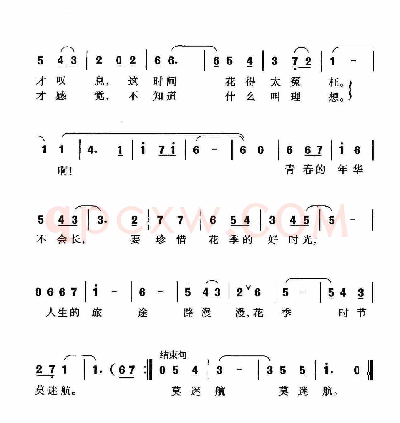 感悟花季