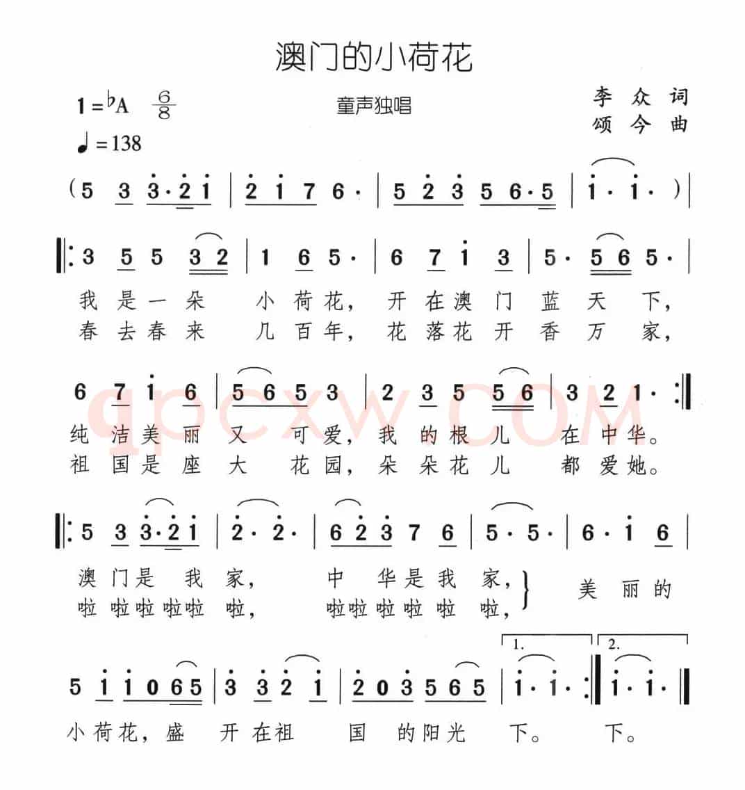 澳门的小荷花
