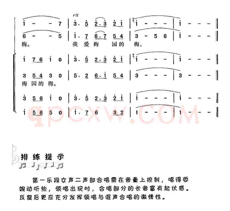 我爱梅园梅